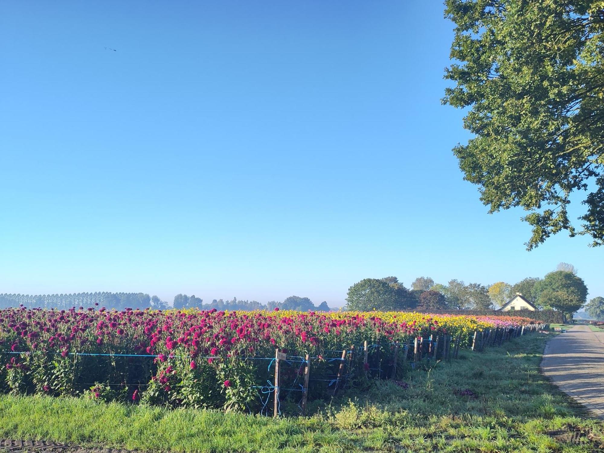 'T Voske Bed and Breakfast Zundert Εξωτερικό φωτογραφία