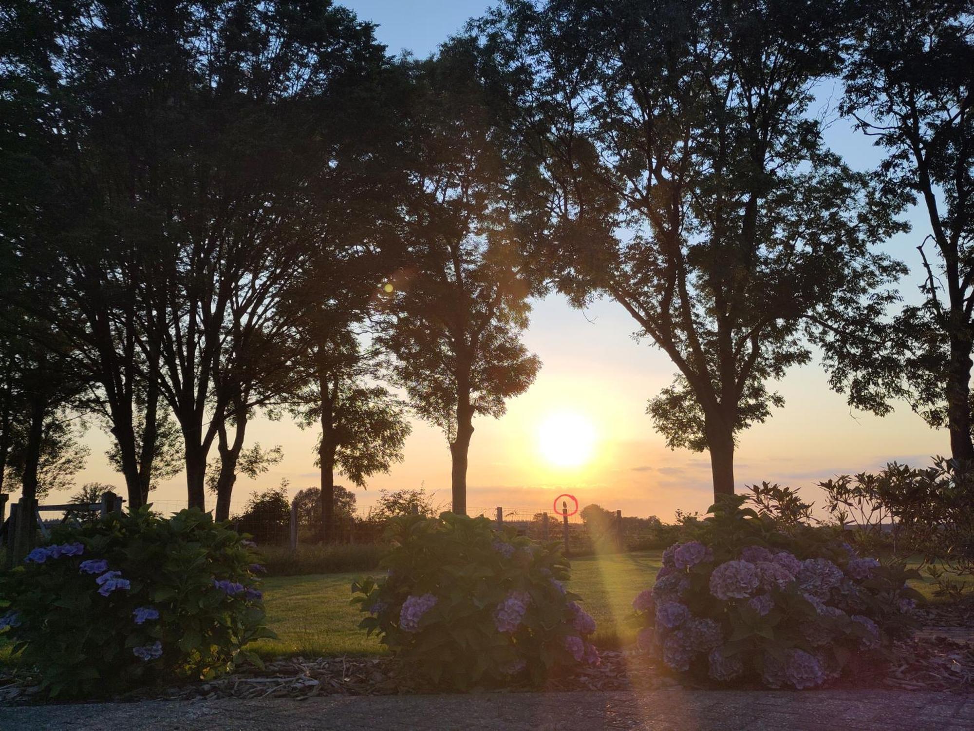 'T Voske Bed and Breakfast Zundert Εξωτερικό φωτογραφία