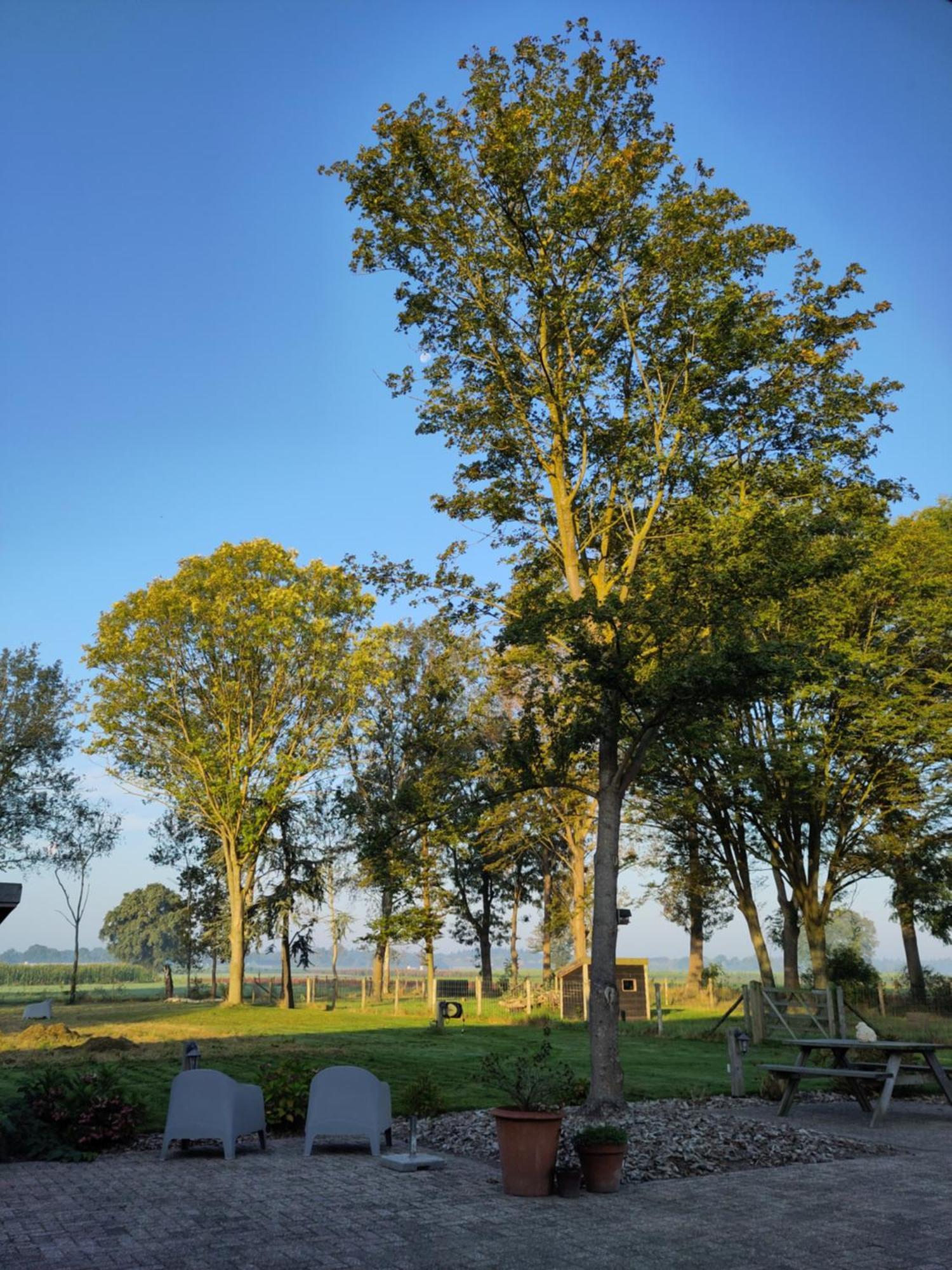 'T Voske Bed and Breakfast Zundert Εξωτερικό φωτογραφία